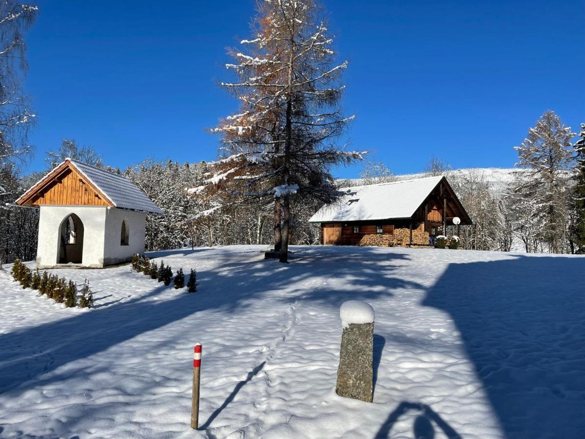 Berghuette, Chalet - Schwarzenberg Am Boehmerwald Schwarzenberg am Bohmerwald Екстер'єр фото